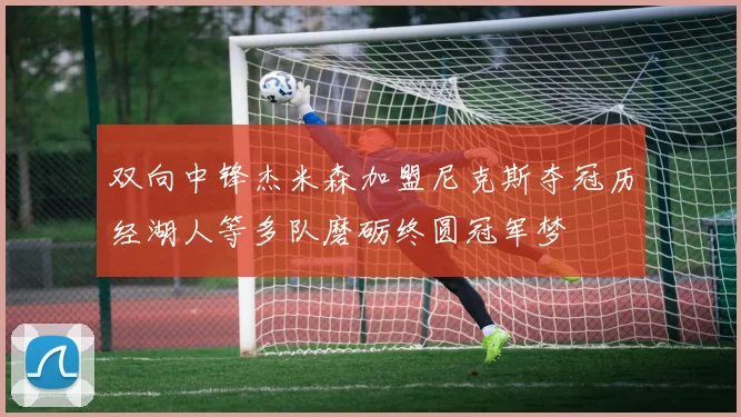 双向中锋杰米森加盟尼克斯夺冠历经湖人等多队磨砺终圆冠军梦